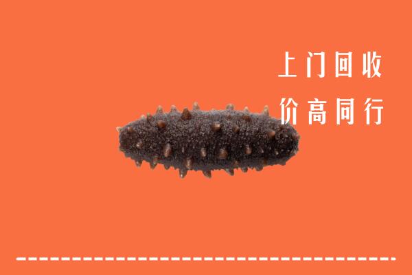 高价求购：武汉武昌回收海参