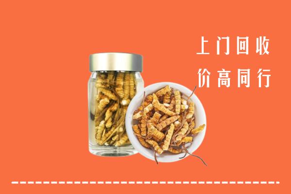 武汉武昌回收冬虫夏草